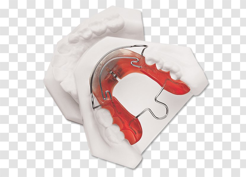 Bionator Mandible Orthodontics Tooth Jaw - Tree - Watercolor Transparent PNG