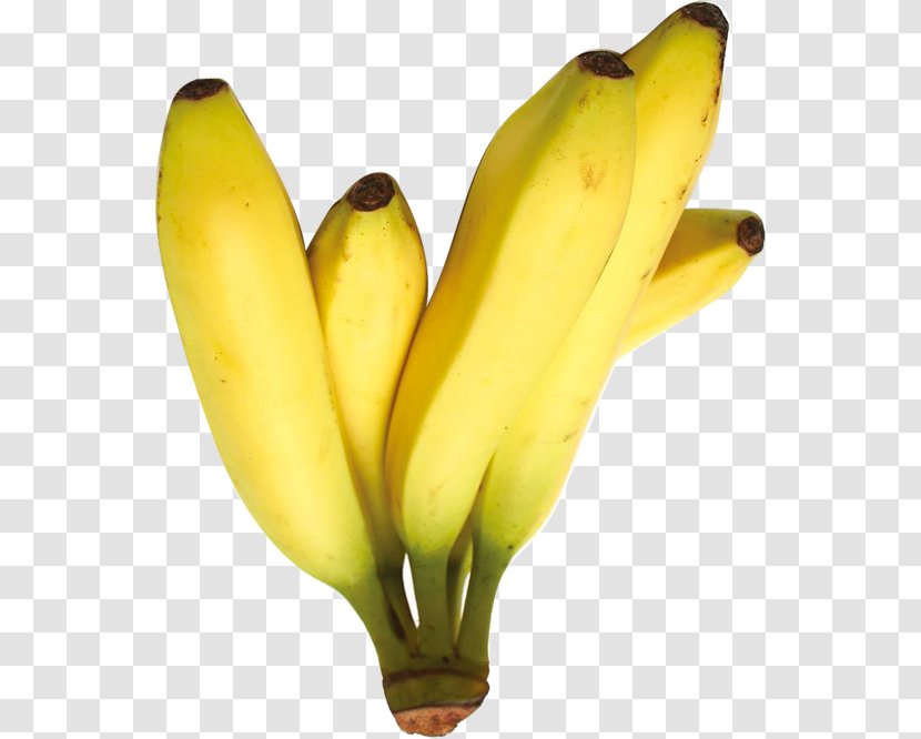Saba Banana Cooking - Plant Transparent PNG