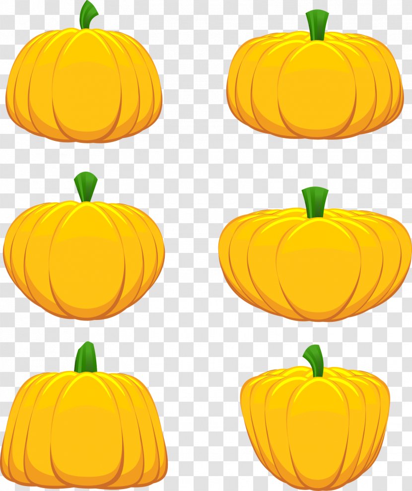 Jack-o-lantern Calabaza Pumpkin Clip Art - Fruit - Thanksgiving Vector Transparent PNG