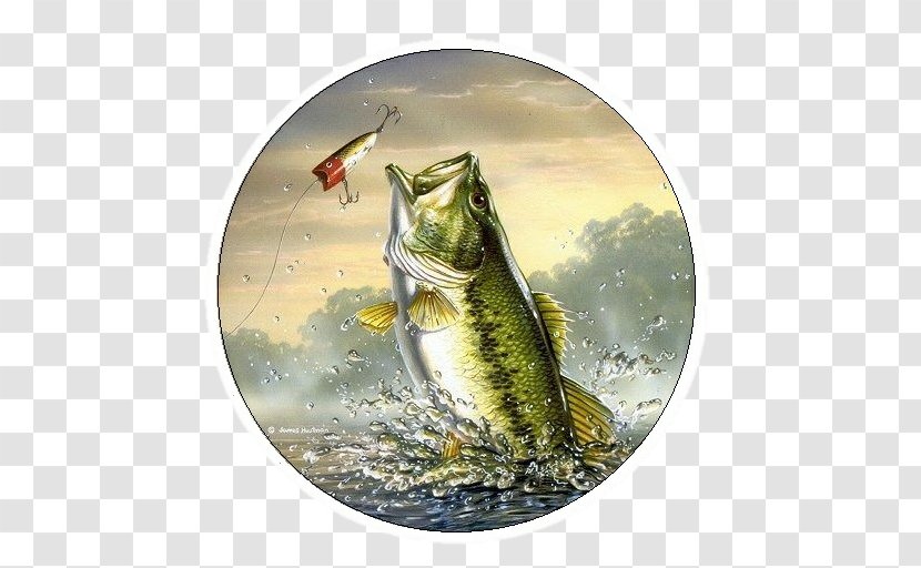 IPhone 8 Bass Fishing Largemouth - Techniques Transparent PNG