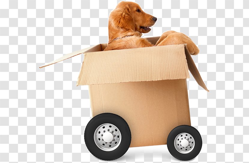 Mover Brothers On The Move Relocation Self Storage Packaging And Labeling - Dog - Pods Transparent PNG