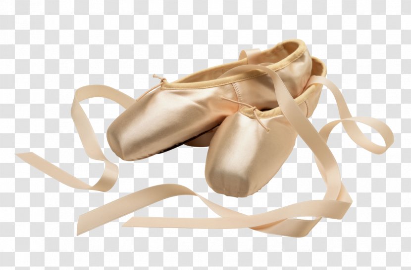 Slipper Ballet Shoe Dance - Tree Transparent PNG