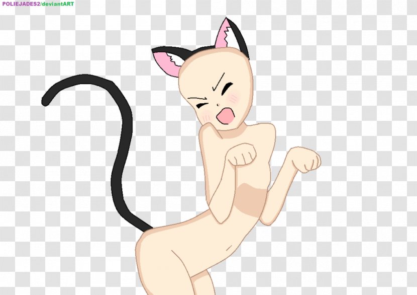 Whiskers Kitten Cat Drawing Meow - Frame Transparent PNG