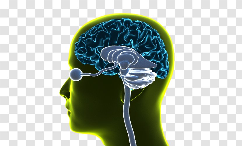 Brain Organism - Solar Brochure Design Transparent PNG