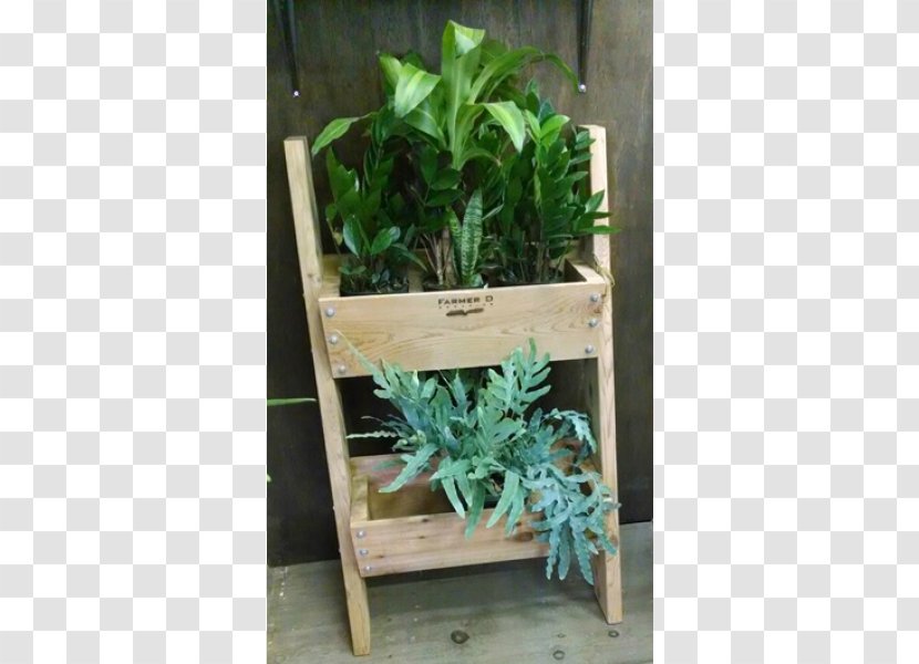 Flowerpot Herb Houseplant - Vertical Garden Transparent PNG