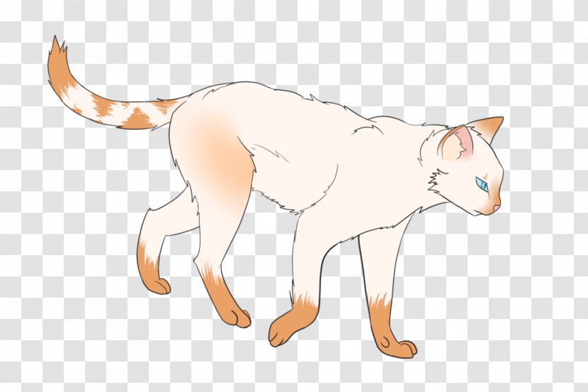 Whiskers Kitten Domestic Short-haired Cat Wildcat - Dog Like Mammal Transparent PNG