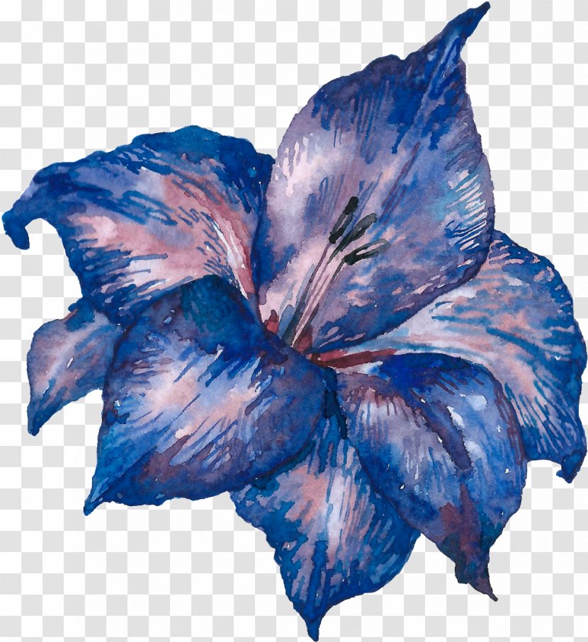 Blue Hawaiian Hibiscus Leaf Flower Petal - Plant Transparent PNG