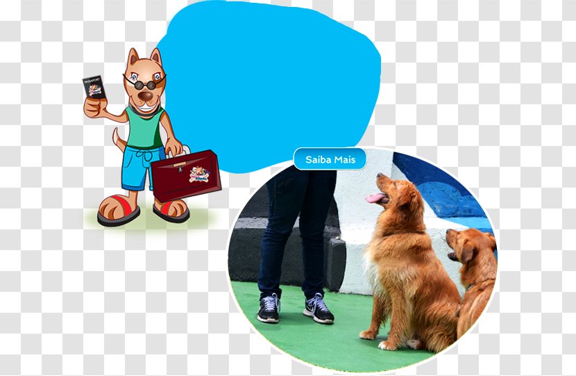 Dog Breed Leash Obedience Training Human Behavior Transparent PNG