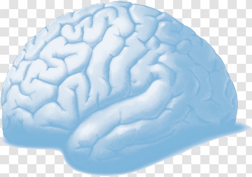 Brain Organism - Frame Transparent PNG