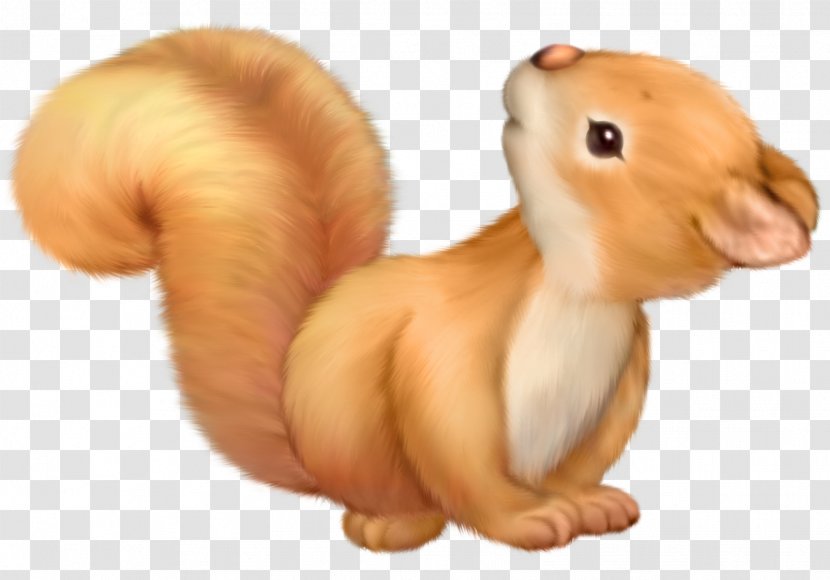 Squirrel Cuteness Clip Art - Animal Figure Transparent PNG