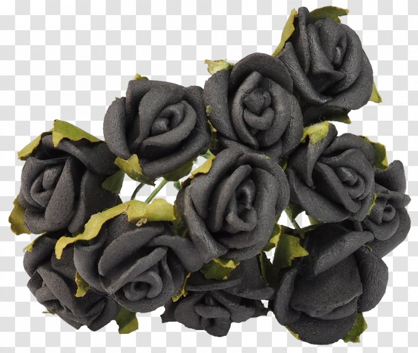 Garden Roses Black Rose Pink - Color Transparent PNG