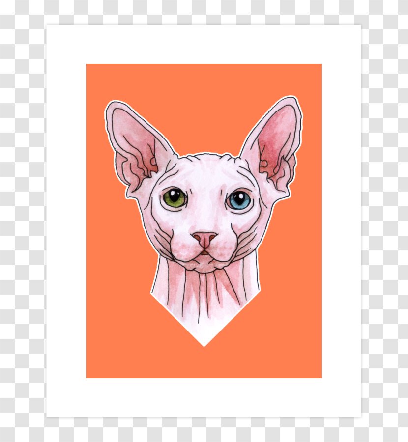 Sphynx Cat Kitten Whiskers Domestic Short-haired Sticker - Frame Transparent PNG