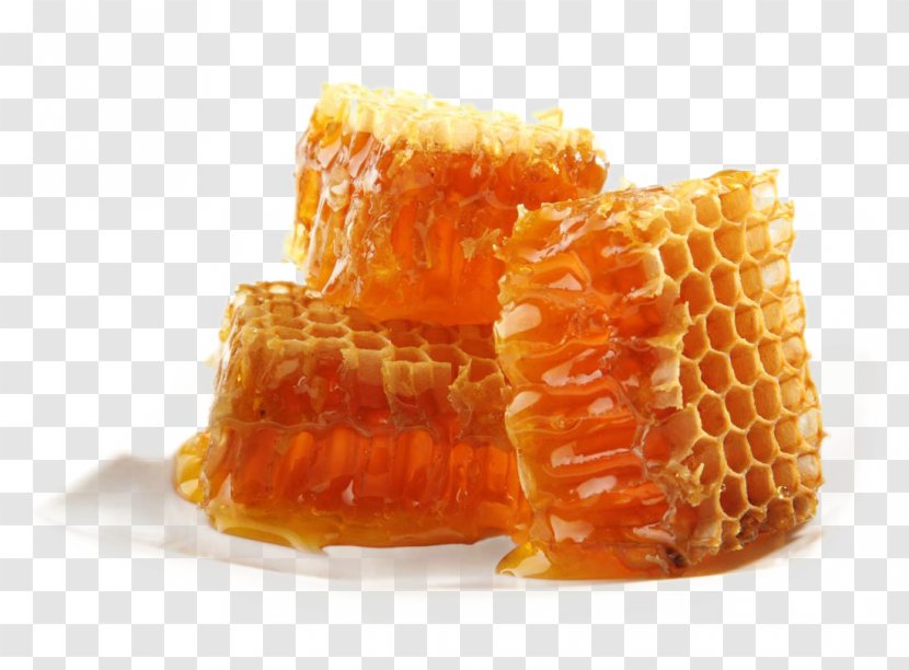 Honey Bee Maya Honeycomb - Beeswax Transparent PNG
