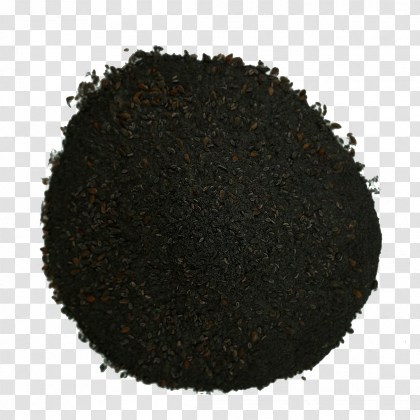 Indoor Mold Control And Prevention In Libraries Stachybotrys Mycotoxin - Earl Grey Tea Transparent PNG