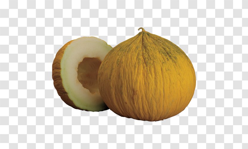 Watermelon Honeydew Cucurbita Cantaloupe - Vine - Hami Melon Transparent PNG