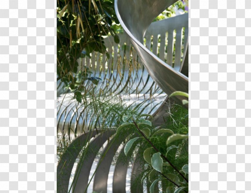 Leaf Fence Tree Houseplant Transparent PNG