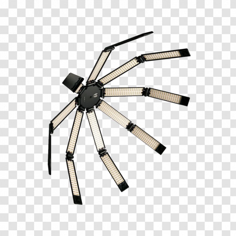 Lighting Spider Hard And Soft Light Light-emitting Diode - Sunlight Transparent PNG