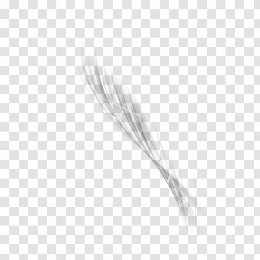 White Feather Black - Tree - Image Abstract Transparent Transparent PNG