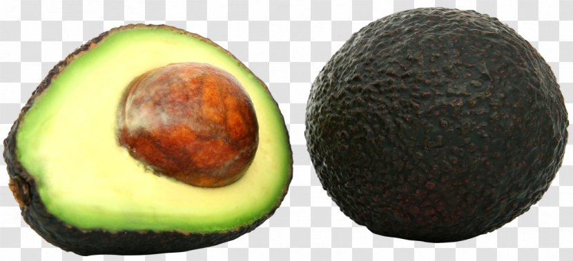 Avocado Icon - Superfood Transparent PNG