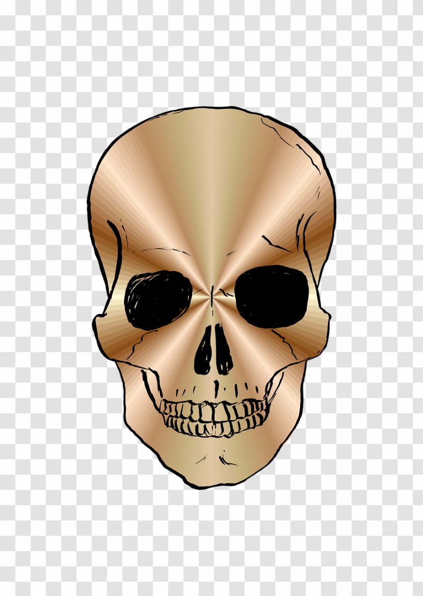 Skull - Skeleton - Skulls Transparent PNG