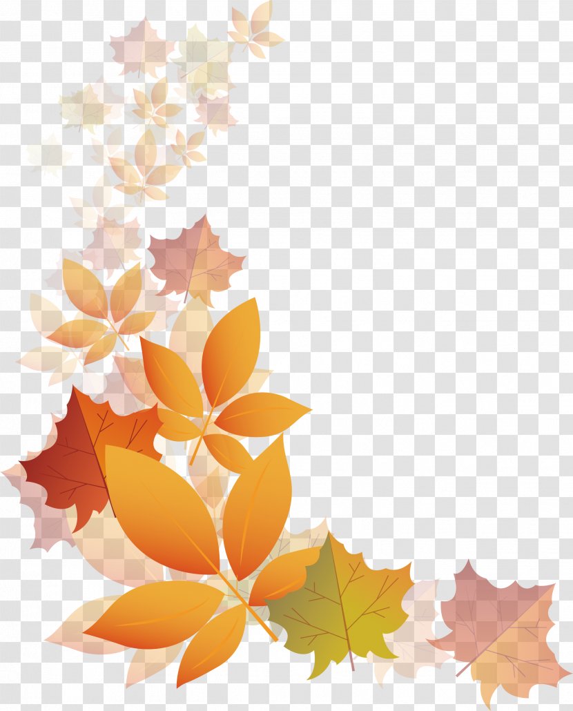 Autumn Transparency And Translucency - Drawing - Translucent Leaves Transparent PNG