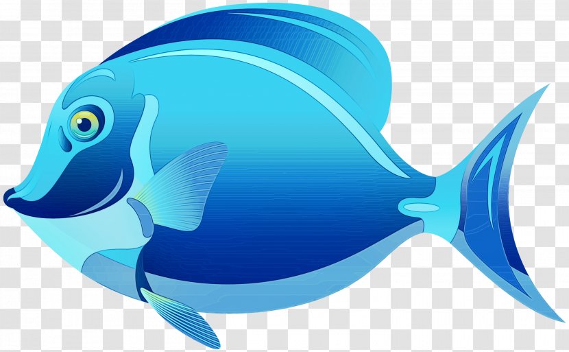 Dolphin Cartoon - Fish - Marine Mammal Aqua Transparent PNG
