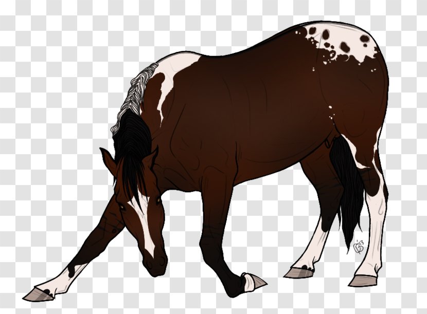 Mustang Stallion Foal Mare Colt - Rein Transparent PNG
