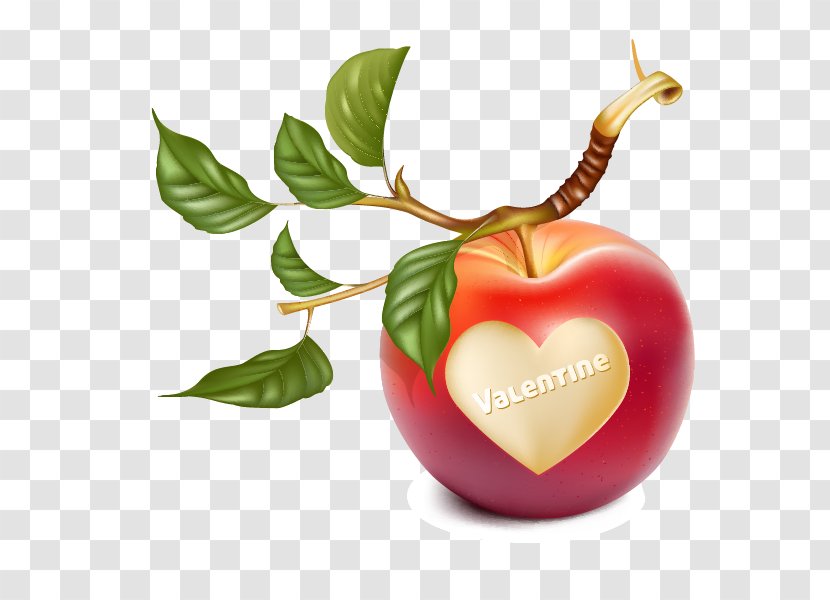 Apple Branch Clip Art - Leaf - Romantic Heart-shaped Transparent PNG