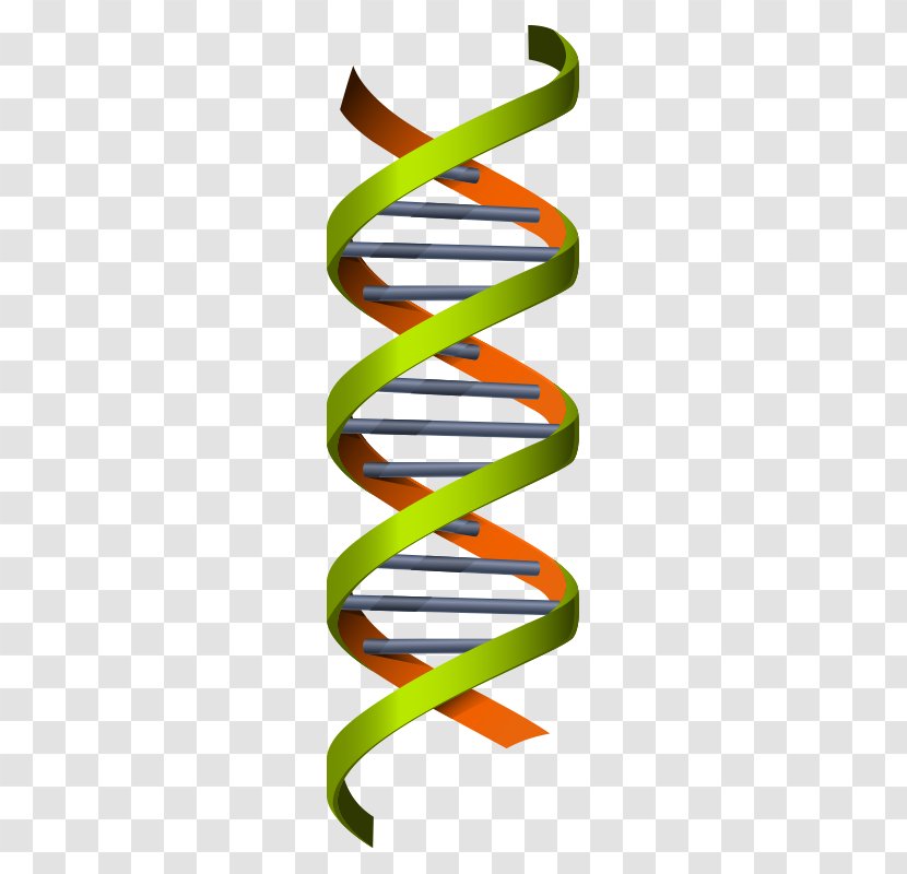 Science Genetics Euclidean Vector DNA Illustration - Laboratory - Medical Chemistry,Chemistry,science Transparent PNG