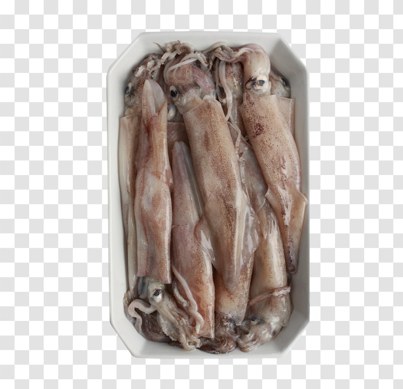 Squid Fur - Animal Fat - Meat Transparent PNG