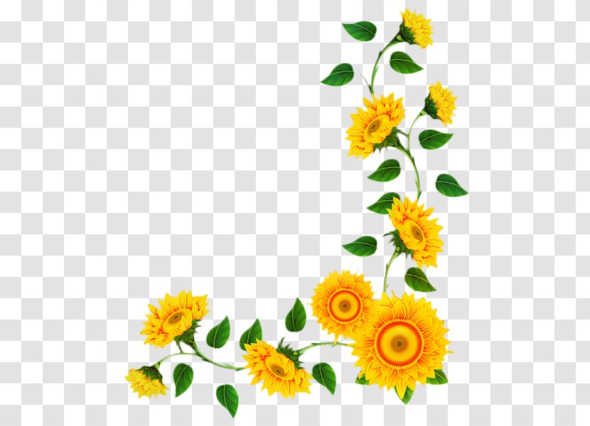 Common Sunflower Drawing Brazil Woven Fabric Shop - Cut Flowers Transparent PNG