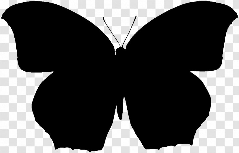 Brush-footed Butterflies Clip Art Silhouette Neck Black M - Swallowtail Butterfly Transparent PNG