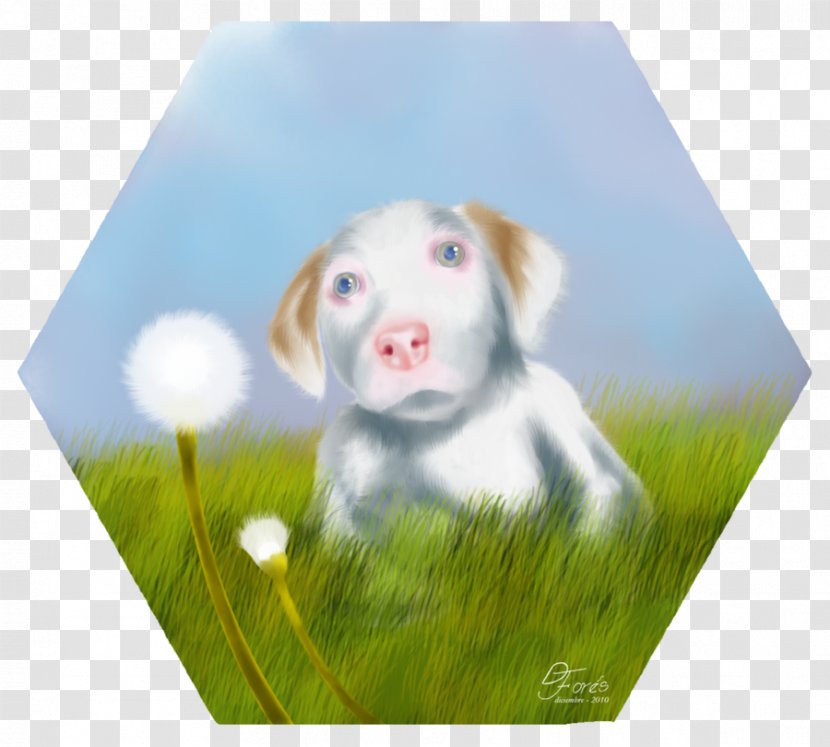 Dog Breed Puppy Love Companion Transparent PNG