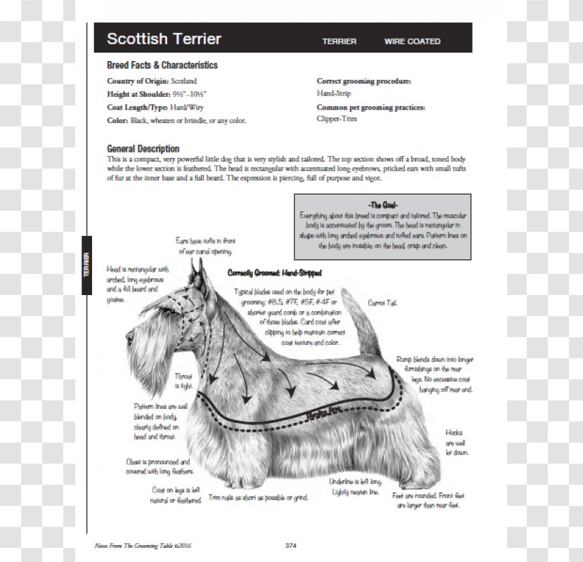 Scottish Terrier Notes From The Grooming Table Miniature Schnauzer Dog - Interior Design Services - Flying Book Transparent PNG