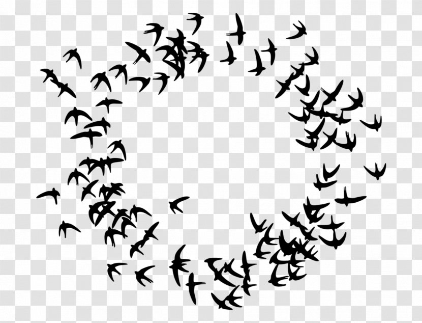 Swallow Bird - Migration - Flock Transparent PNG