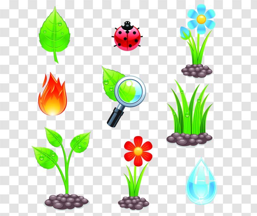 Design - Aquarium Decor - Grass Transparent PNG