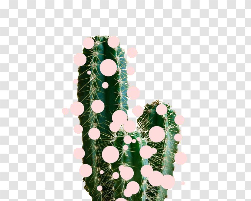 Art Drawing Collage Beauty - Grete Stern - Cactus Transparent PNG