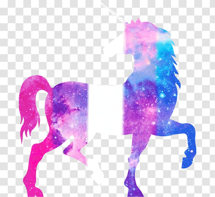 Unicorn Frappuccino Galaxy Ann's Hair Affair & Spa Horse - Samsung Star Transparent PNG