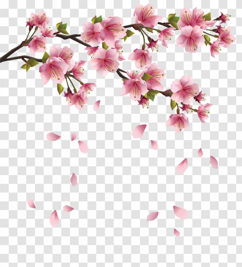 Paper Cherry Blossom Clip Art - Spring Flowers Transparent PNG