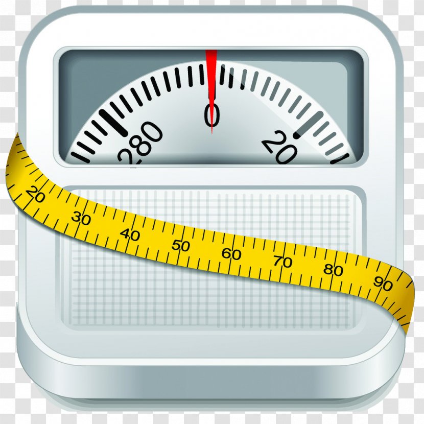 Weighing Scale Weight Euclidean Vector Illustration - Loss - Scales Transparent PNG