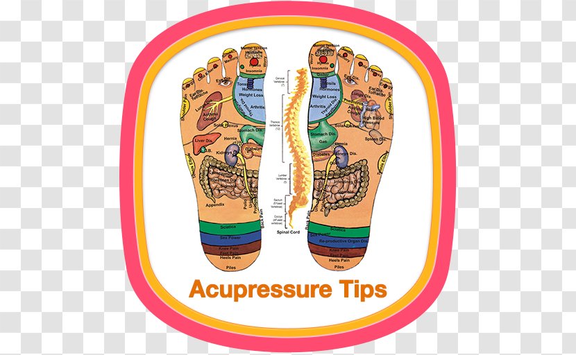 Acupuncture Acupressure Reflexology Meridian Therapy - Hand Transparent PNG