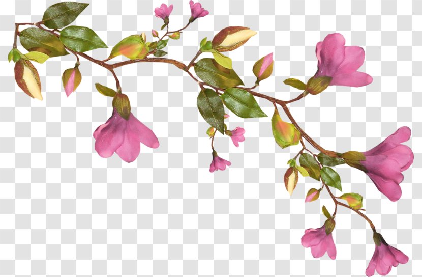 Flower Clip Art - Branch Transparent PNG