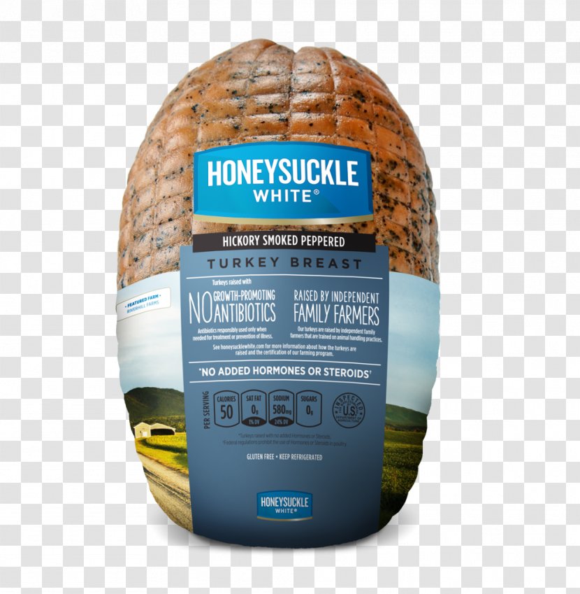 Brand Ground Turkey Recipe - Health - Pastrami Transparent PNG