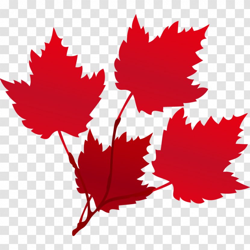 Maple Leaf Red Euclidean Vector Raster Graphics - Plant - Autumn Leaves Transparent PNG
