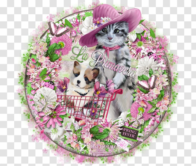 Whiskers Cat Dog Spring Fever - Flower - Design Transparent PNG