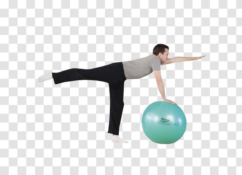 Exercise Balls Pilates Physical Fitness Medicine - Weight Training - Yoga Ball Transparent PNG