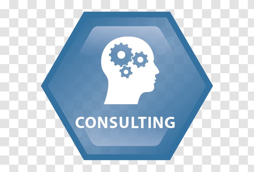 Consultant Management Consulting Advertising Marketing - Niche Market - Consult Transparent PNG