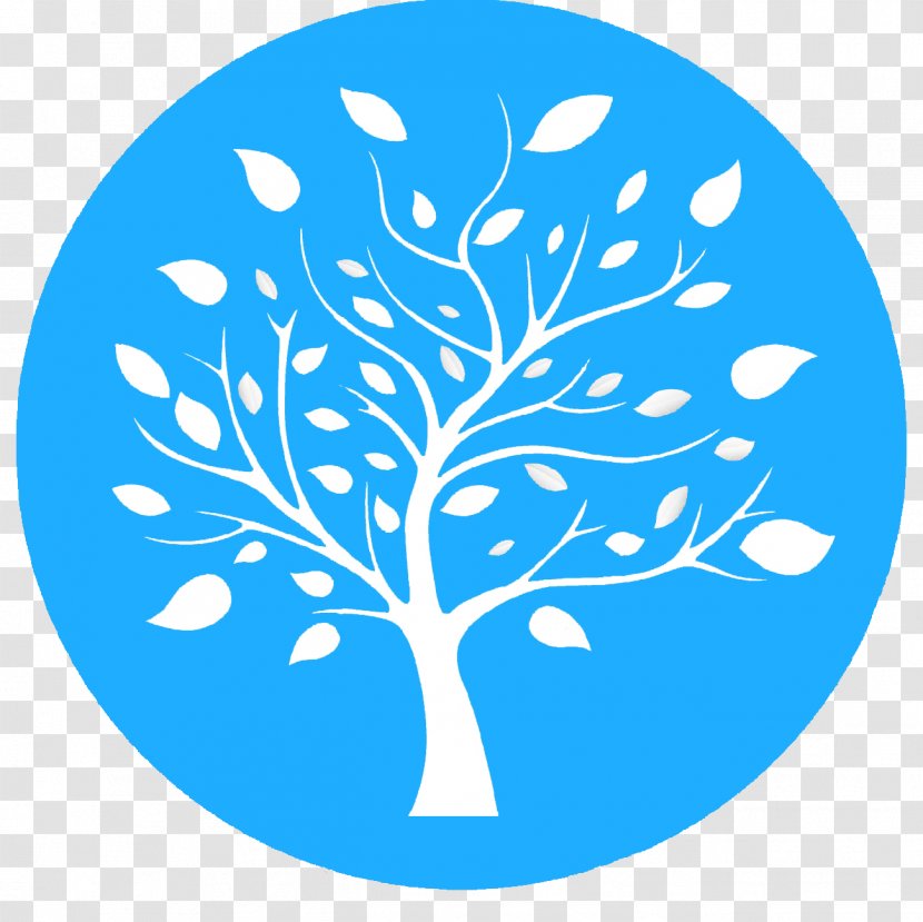 Tree Drawing Royalty-free - Branch Transparent PNG