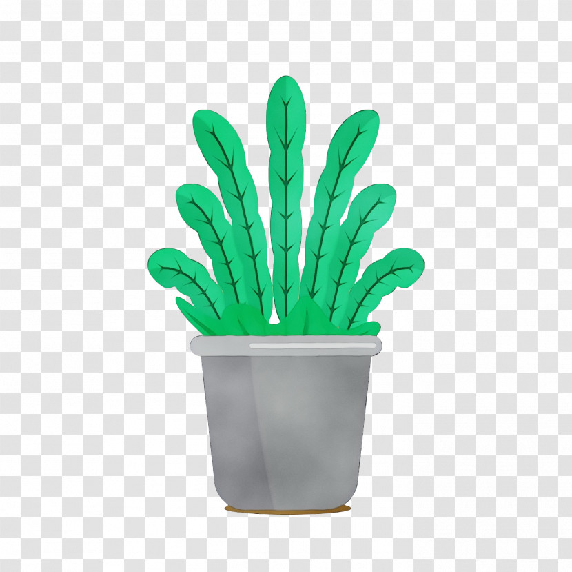 Flowerpot Houseplant Plants Orchids Flat Design Transparent PNG