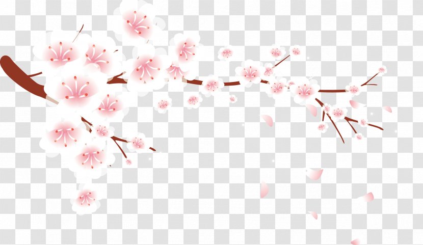 Petal Plum Blossom Flower - Petals Falling Vector Transparent PNG